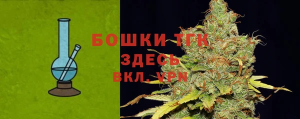 молекула духа Горнозаводск