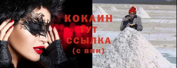 МДПВ Горняк