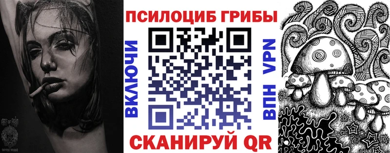 Псилоцибиновые грибы Magic Shrooms  Купить где  Тогучин 